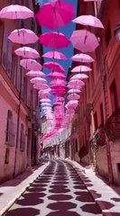 French Riviera #travel #viral #beauty