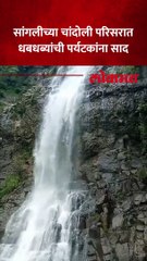 सांगलीच्या चांदोली परिसरात अतिवृष्टी, दमदार पावसाने सर्व धबधबे प्रवाहित
