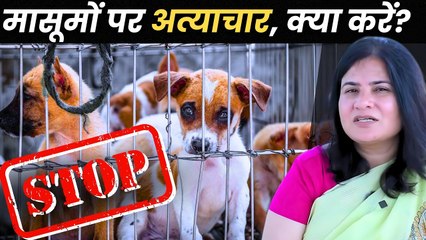 कैसे बचाएँ मासूमों को? प्रेम है तो समझिए! || गौरी मौलेखी जी से प्रशांतअद्वैत संस्था की वार्ता(भाग-2)