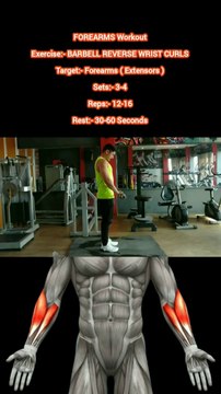 ❌ BARBELL REVERSE WRIST CURLS ✔️ How can I get Bigger FOREARMS? #heermlgangaputra #naturalbodybuilding #workout #exercise #fitness #gym #muscle #training