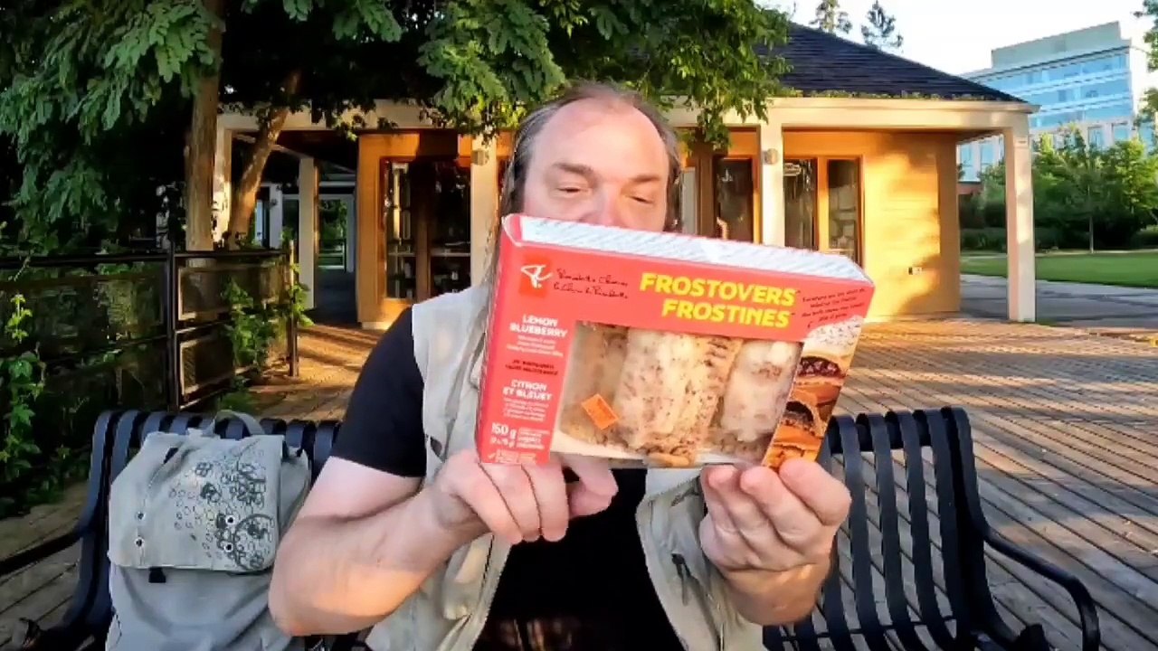 President's Choice lemon blueberry Hand Pies Review