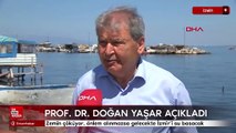 Zemin çöküyor, önlem alınmazsa gelecekte İzmir'i su basacak
