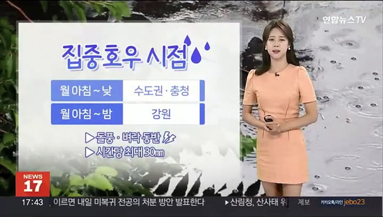 [날씨] 전국 장맛비, 중부 중심 '폭우'…남부·제주 무더위