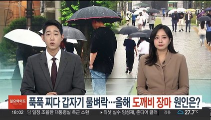 슈퍼컴퓨터도 못 맞춘다…올여름 '도깨비 장마' 왜?