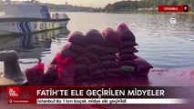 Fatih'te 1 ton kaçak midye ele geçirildi