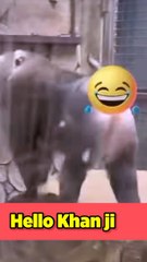 Funny videos|| very funny clips||