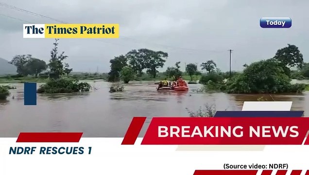 NDRF rescues 16 people trapped in inundated fields in Usgaon, Palghar. #NDRF #RescueOperation (Source video: NDRF)