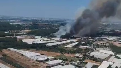 Antalya Aksu'da orman yangını