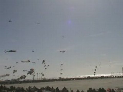 Cerf-volant Berck 2008 Richard Debray