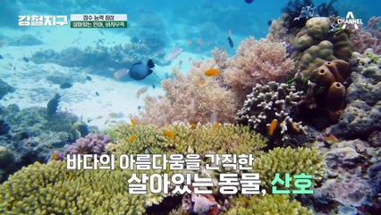 [#강철지구] 잠수 능력 최상, 바자우족과 함께한 위험천만 바다 낚시 도전♨♨ #인도네시아 #바자우족