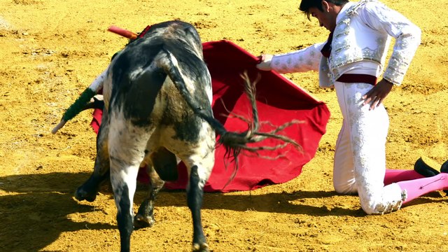 FOTOS ALFONSO ALONSO EN SANTA OLALLA DEL CALA 2019