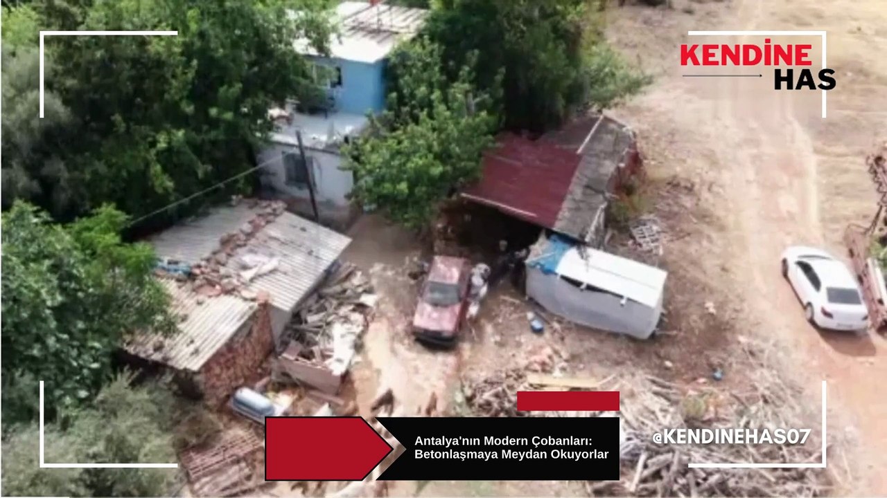 Antalya'nın Modern Çobanları: Lüks Villaların Arasında Keçi Güden Karı Koca