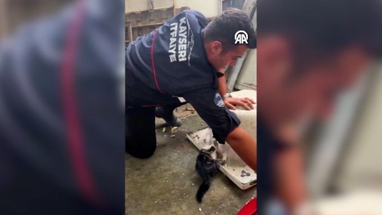 Başı küvetin giderine sıkışan kedi kurtarıldı