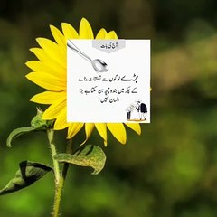 Aqwalezareen islamic quotes