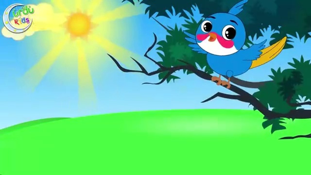 Bulbul Ka Bacha Urdu Poem _ بلبل کا بچہ _ Urdu Nursery Rhyme Collection for Babies