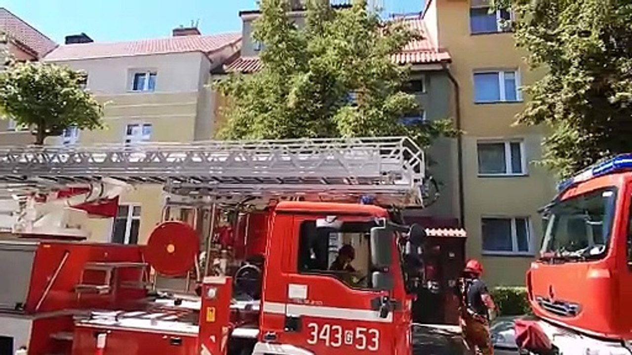 Strażacy i strażnicy miejscy w Ustce uratowali młodą mewę