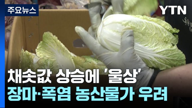 장마에 들썩이는 채솟값...소비자도 상인도 식당사장도 '울상' / YTN