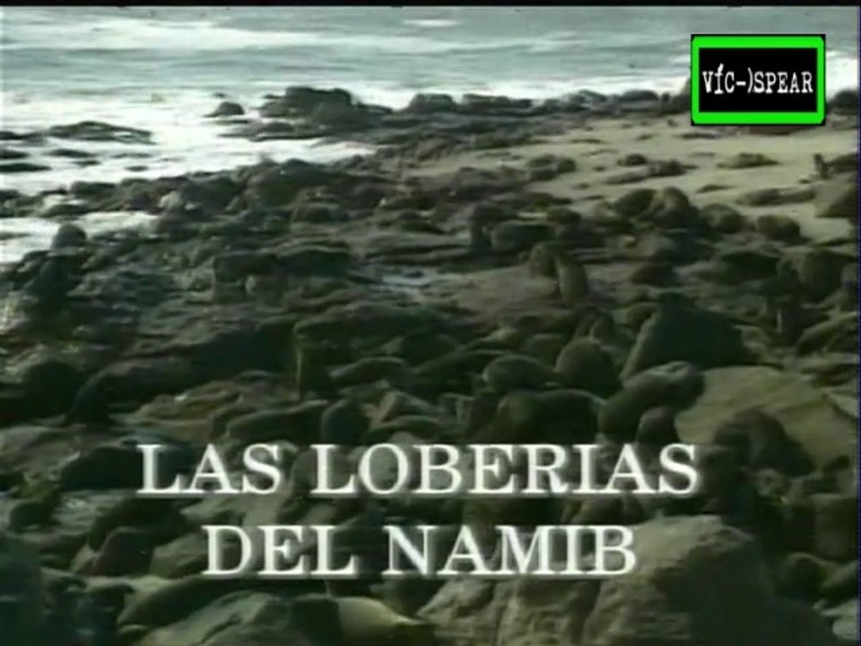Tercer Planeta: Las Loberias de Namib / Mercado de Aleppo / Misa Sincrética Maya - Documental (1998) Español