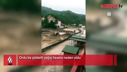 Ordu'da sel felaketi!