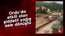 Ordu'da etkili olan şiddetli yağış sele dönüştü