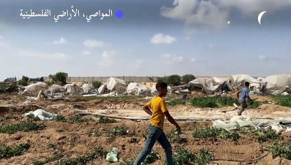 أراض خصبة في غزة ذهبت مع ريح الحرب