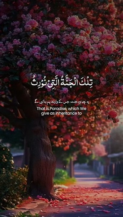 That is paradise