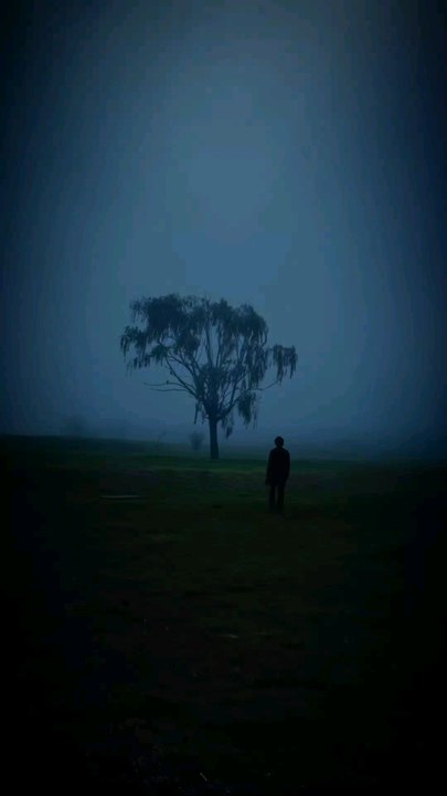 Des phénomènes étranges dont tu n'as jamais entendu parler (66) ‍♂️