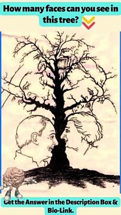 Brain confused in guess.