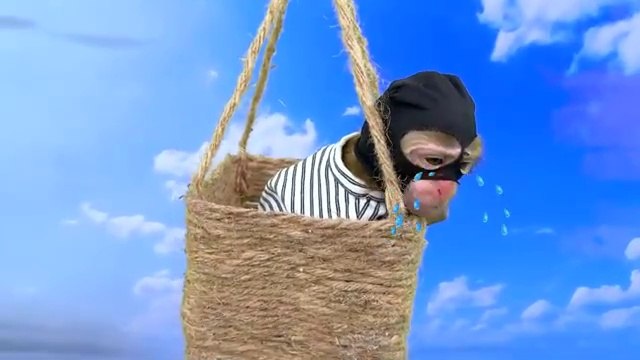 Monkey Baby Bon Bon eats Food with the ducklings in the garden and goes to harvest watermelon