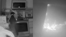 Un perro enciende la vitrocerámica de su casa y provoca un incendio