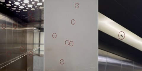 Taksim Hastanesi'nde sivrisinek krizi çözülemedi!