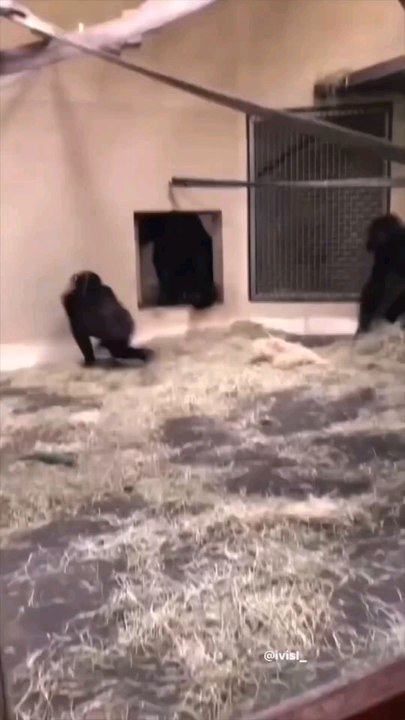 Ce site te permet de trouver les meilleurs bon plans voyage ou vacances. Si tu ne connaissais pas, enregistre le site #astuce #astuces #bonplan #voyage #vacances #voyages #location