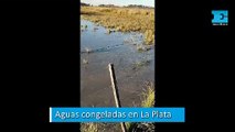 Aguas congeladas en La Plata