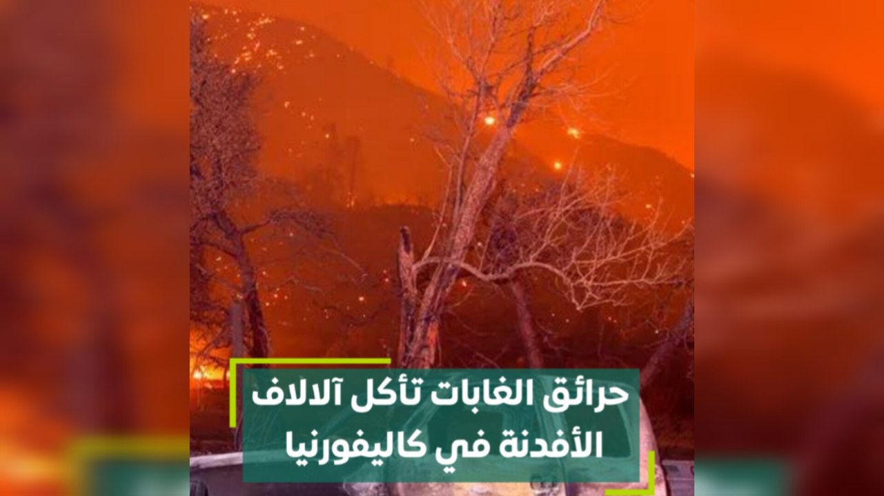 حرائق الغابات تأكل اّلالاف الأفدنة في كاليفورنيا