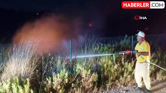 İzmir'de otluk alanda çıkan yangın evlere sıçramadan söndürüldü