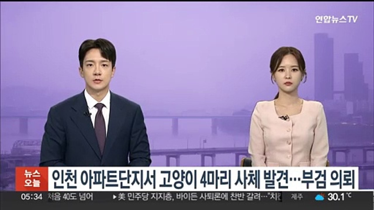 인천 아파트단지서 고양이 4마리 사체 발견…부검 의뢰