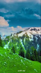 جمال باكستان . نعتقد أنه لا يوجد مثل هذا البلد في العالم