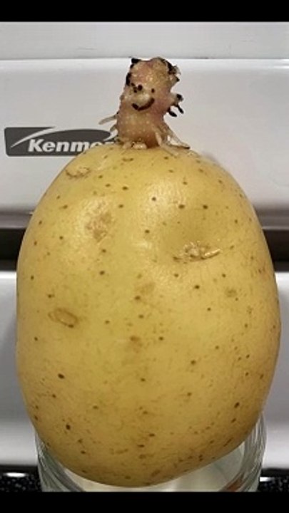 Seeing Faces in Everyday Objects - Part 68