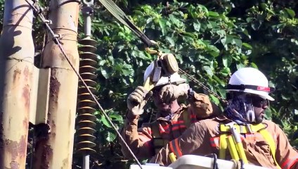 CARICOM COUNTRIES ASK TTEC FOR HELP