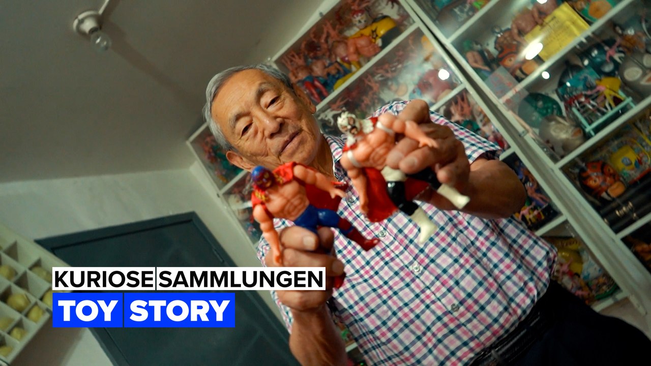 Kuriose Sammlungen: vom Sammler zum Museumskurator