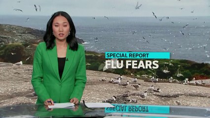 The risk of the H5N1 strain of bird flu