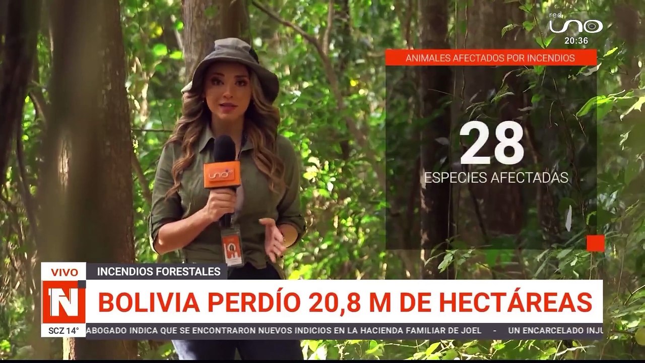 Reportaje de Incendios forestales