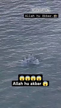 Have you ever seen anyone eating or talking under water? What kind of creature is that?.