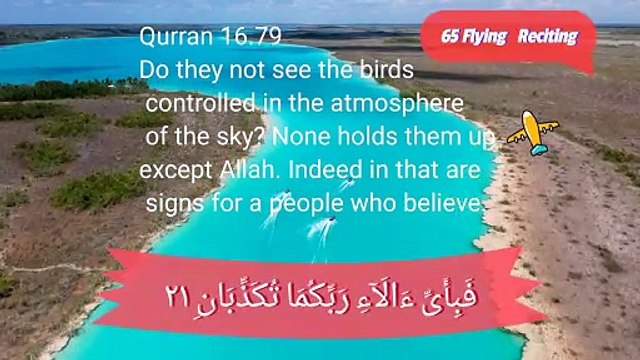 Discover the 65 Airborne Wonders: Embracing the Loving Reality of Nature!