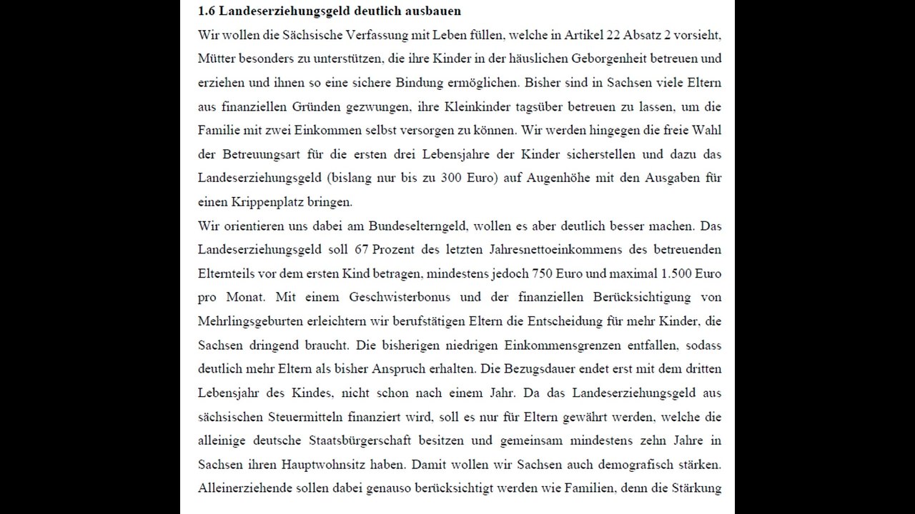 wahlprogramm AFD sachsen 2024 erklärt