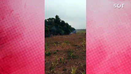 Conflito em Terra Roxa: Grupo indígena invade fazenda e polícia é acionada 🚨