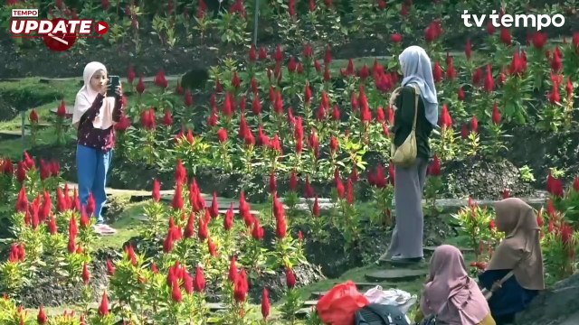 Satgas Damai Cartenz Tembak Mati Anggota KKB di Nabire Papua Tengah