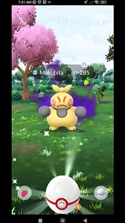 Pokémon GO-Shadow Makuhita