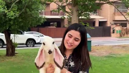 Aroob Ko Baby Shippu Ka Surprise De Diya  ｜ Mama Ko Shak Ho Geya