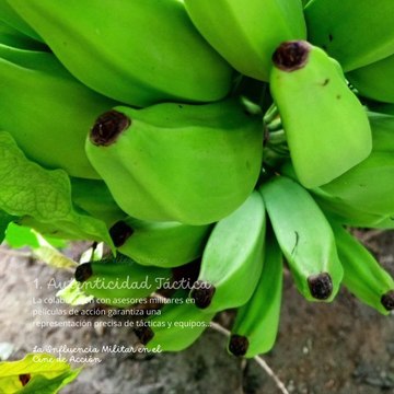 - Andrés de Jesús Vélez Franco- La Influencia Militar en el Cine de Acción (PARTE 1) (@AndresdeJesus90)